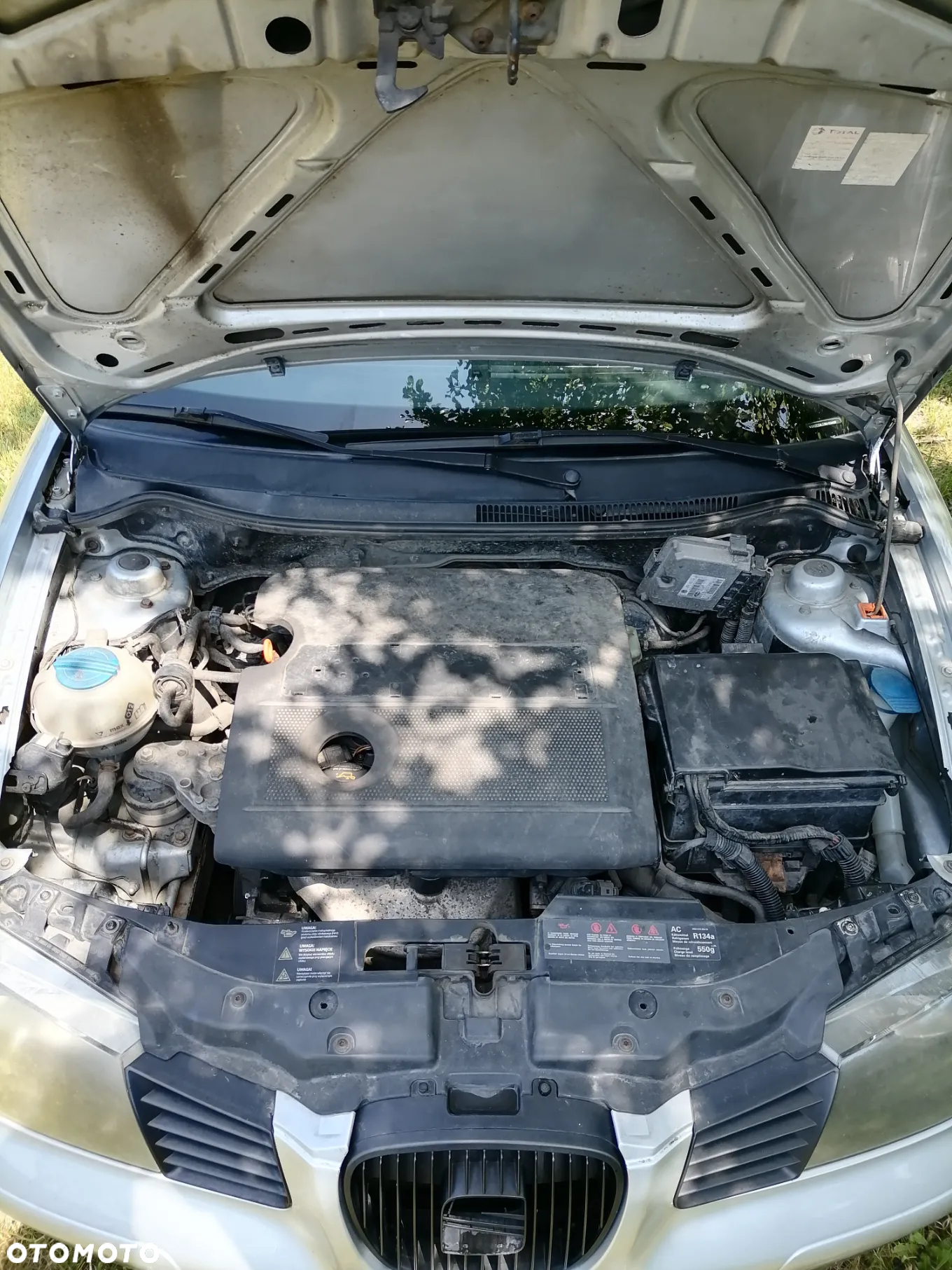 Seat Ibiza - 2