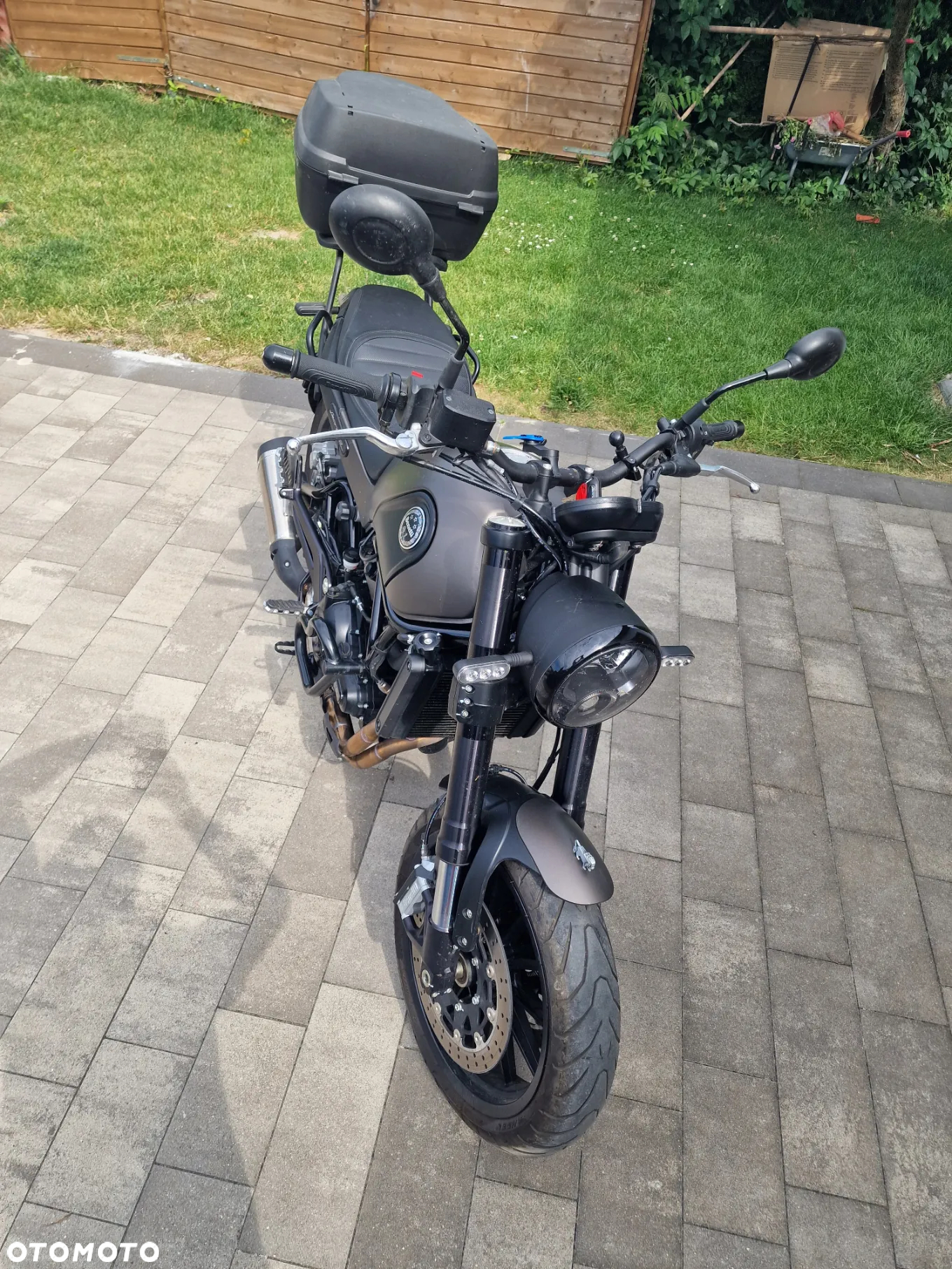 Benelli Leoncino - 3