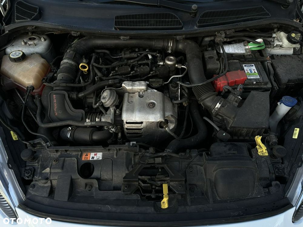 Ford Fiesta - 35