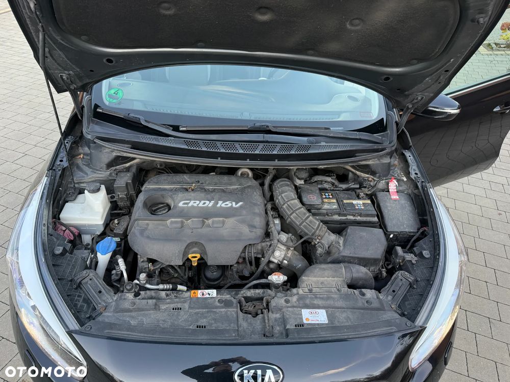 Kia Ceed - 31