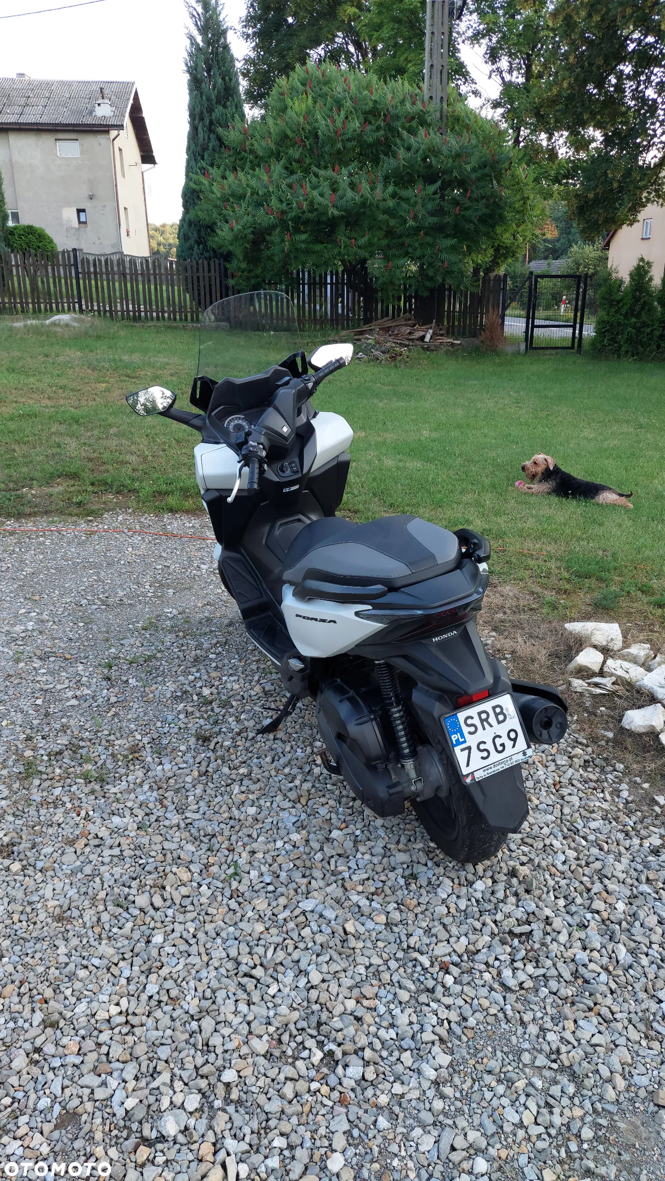 Honda NSS - 4