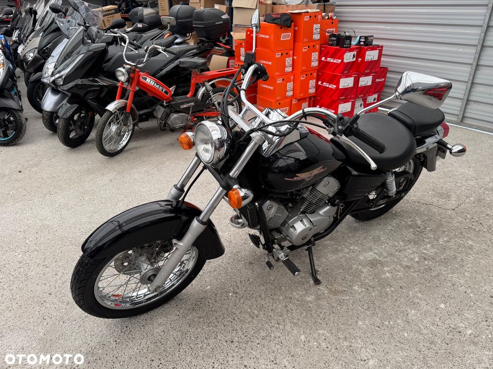 Honda Shadow - 3