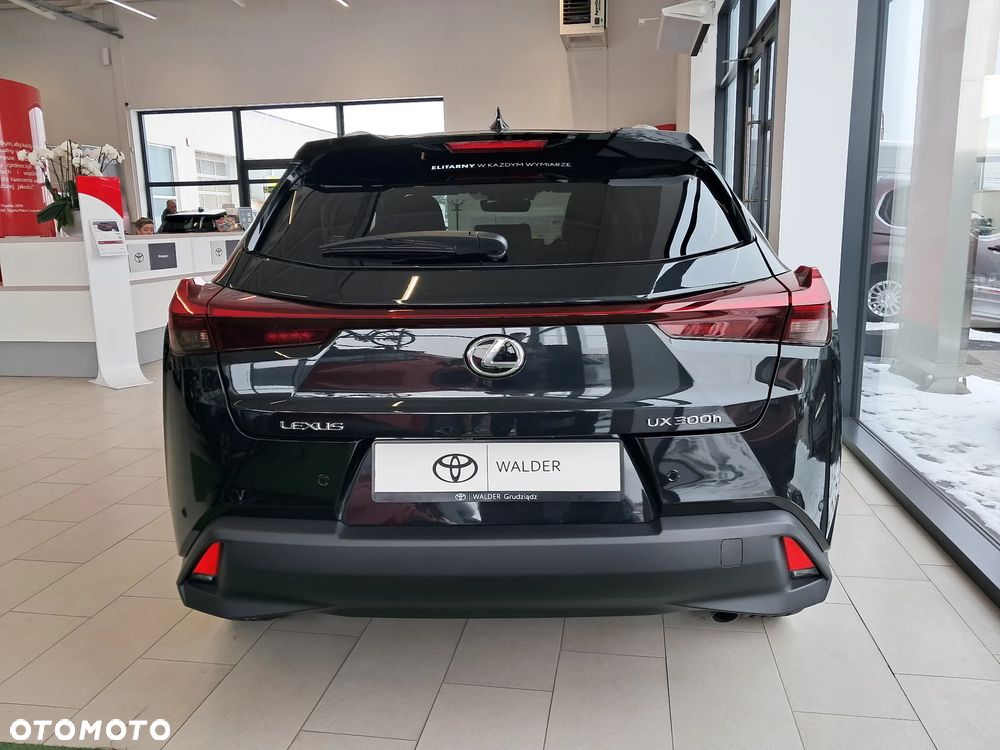 Lexus UX 300h Business - 4