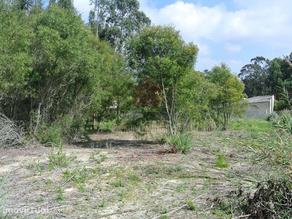 Terreno para construção no Nadadouro - Grande imagem: 5/15