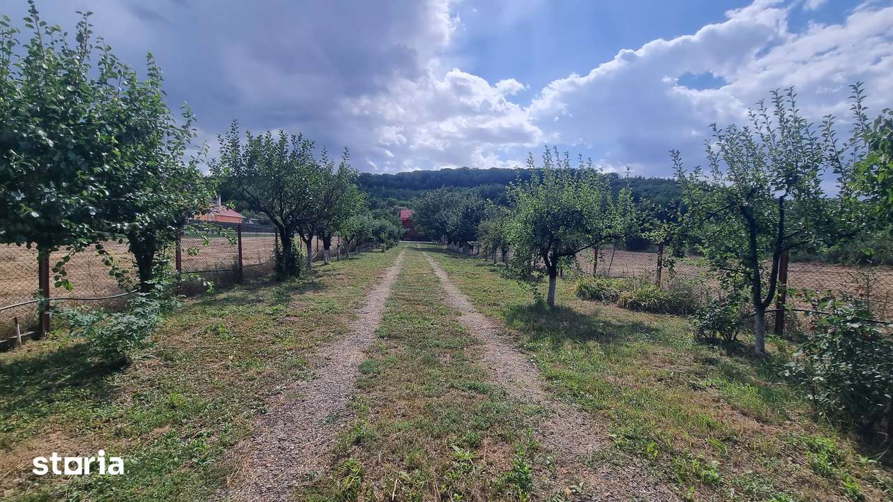 Casa de vacanță--Hidișel de Sus - Imagine principală: 2/14