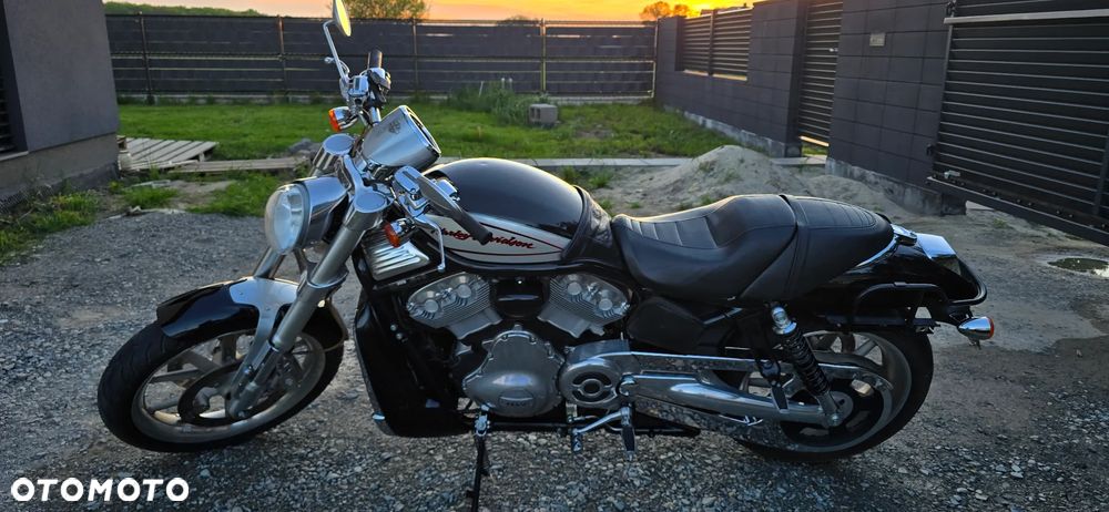 Harley-Davidson V-Rod Street Rod - 15