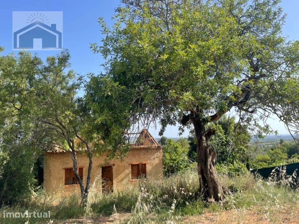 Propriedade Mista com Casa para Recuperar em Messines de Baixo - Grande imagem: 3/9