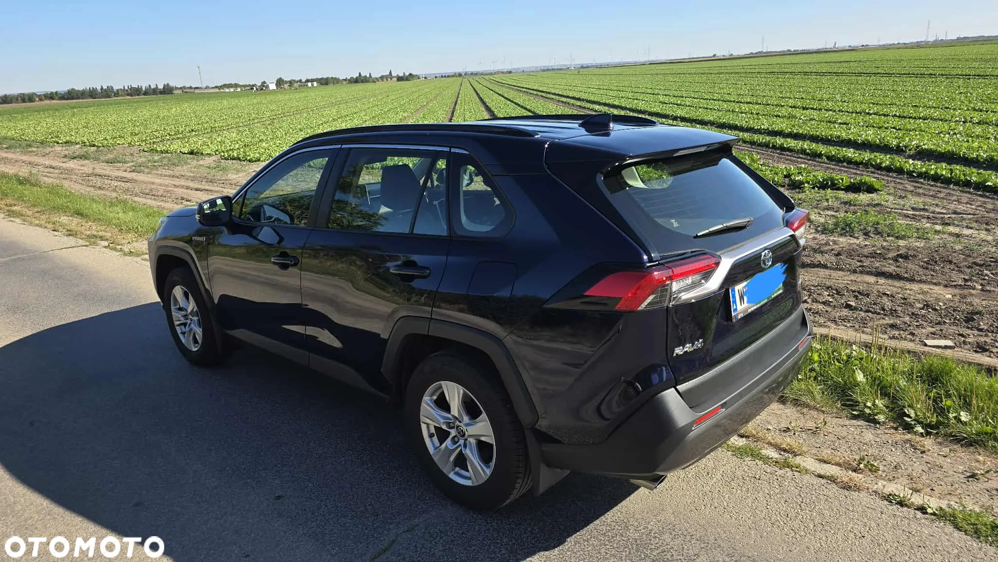 Toyota RAV4 2.5 Hybrid Executive 4x2 - 7