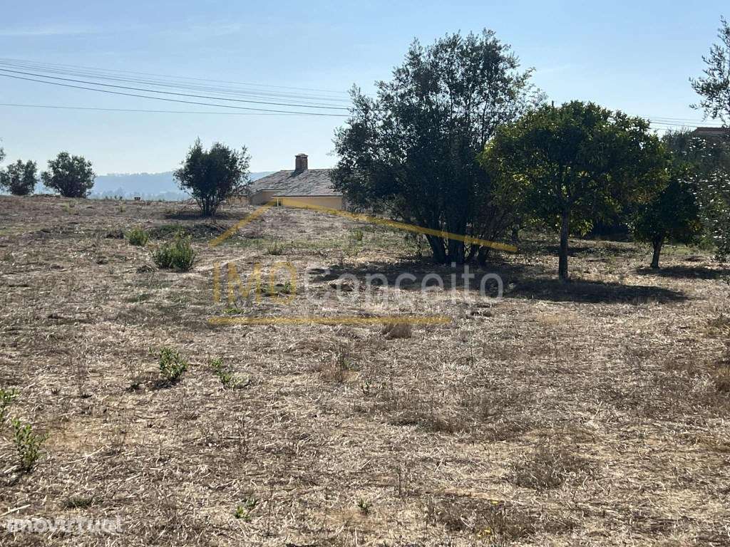 Terreno Rustico |com viabilidade de Construção| Asseiceira - Grande imagem: 2/17