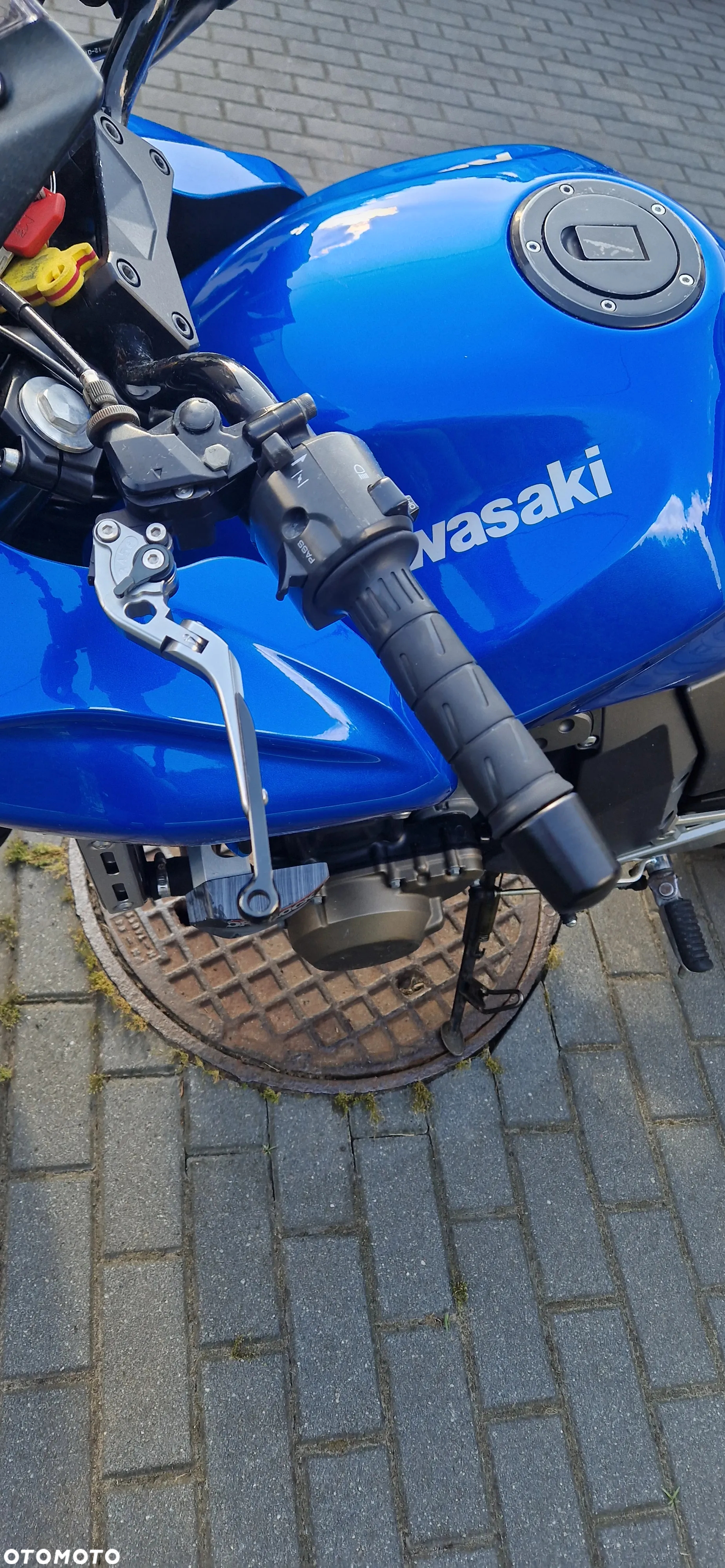 Kawasaki Z - 13