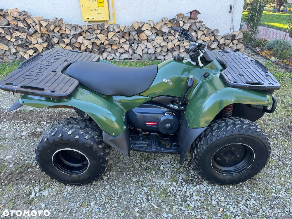 Kawasaki Brute Force - 7