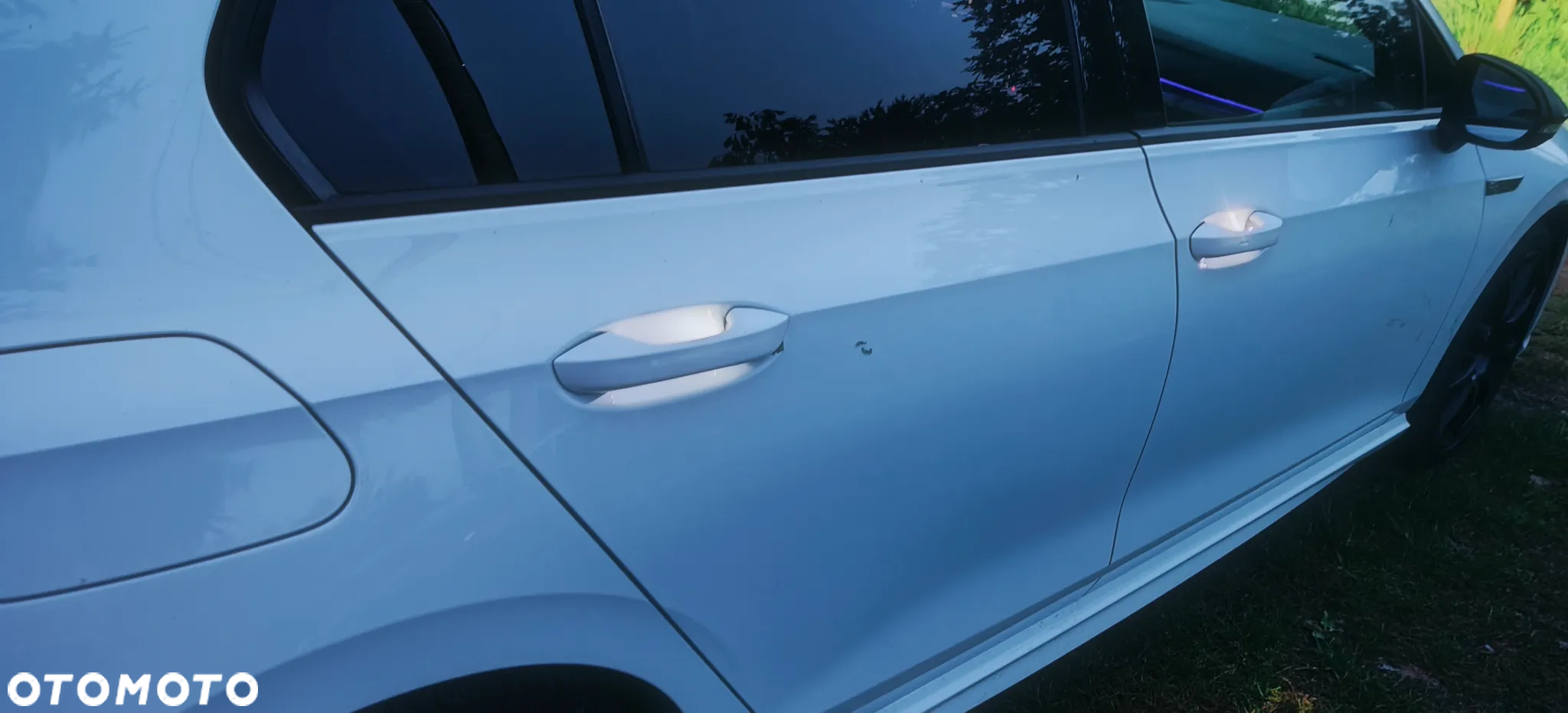Volkswagen Golf VIII 2.0 TSI 4Motion R DSG - 24