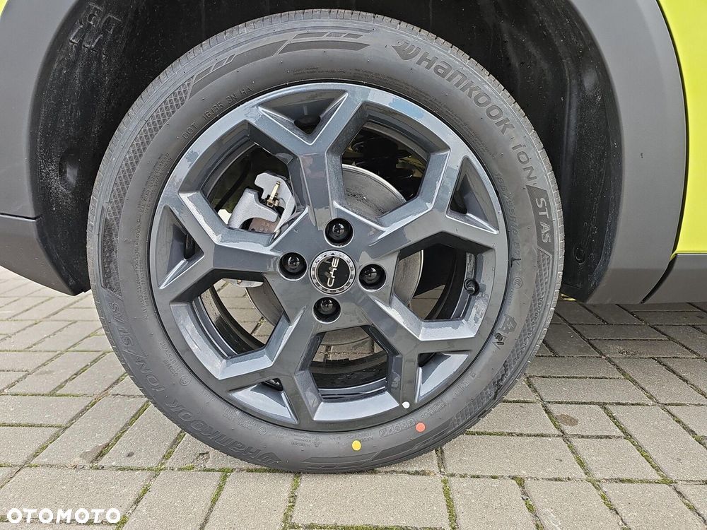 BYD Dolphin Surf - 19