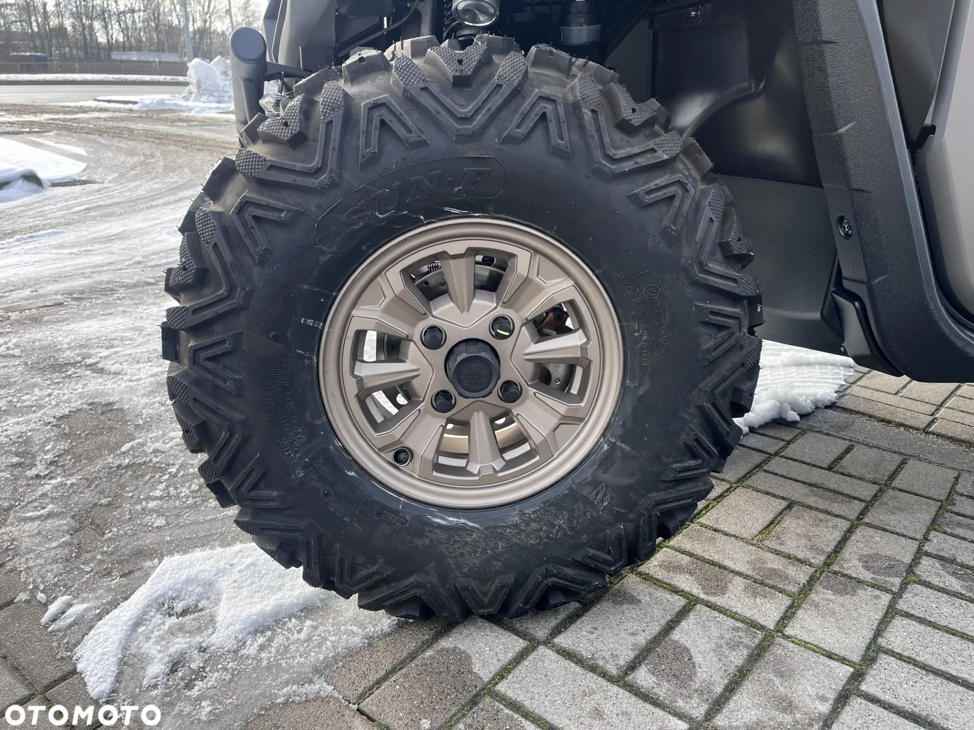 Yamaha Wolverine - 16