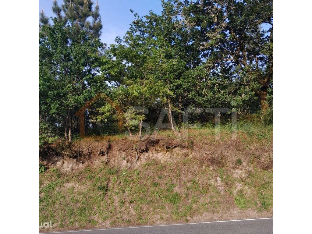 Terreno com excelente localização - Grande imagem: 3/4