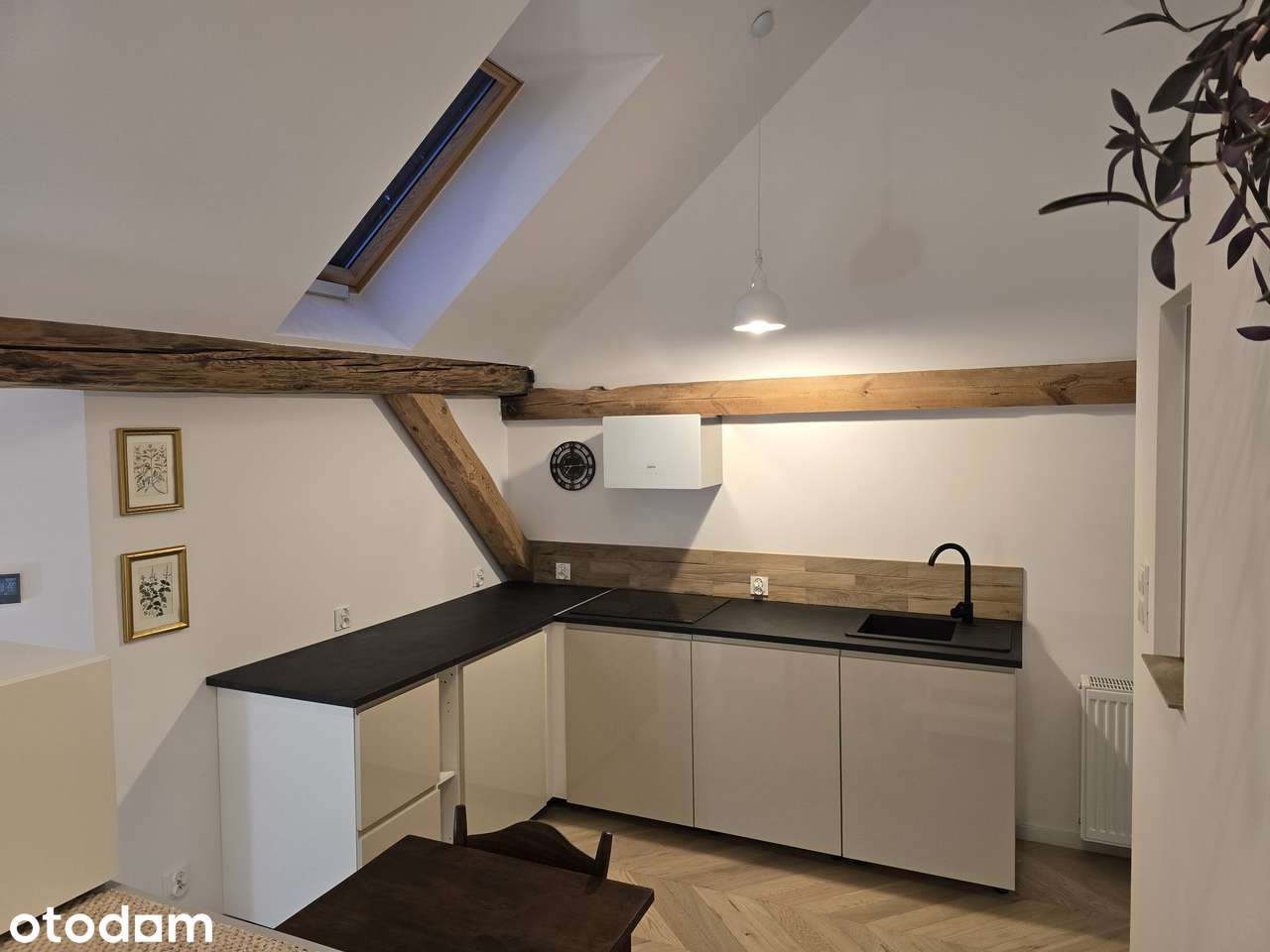 Do wynajęcia  25m2 kawalerka z antresolą