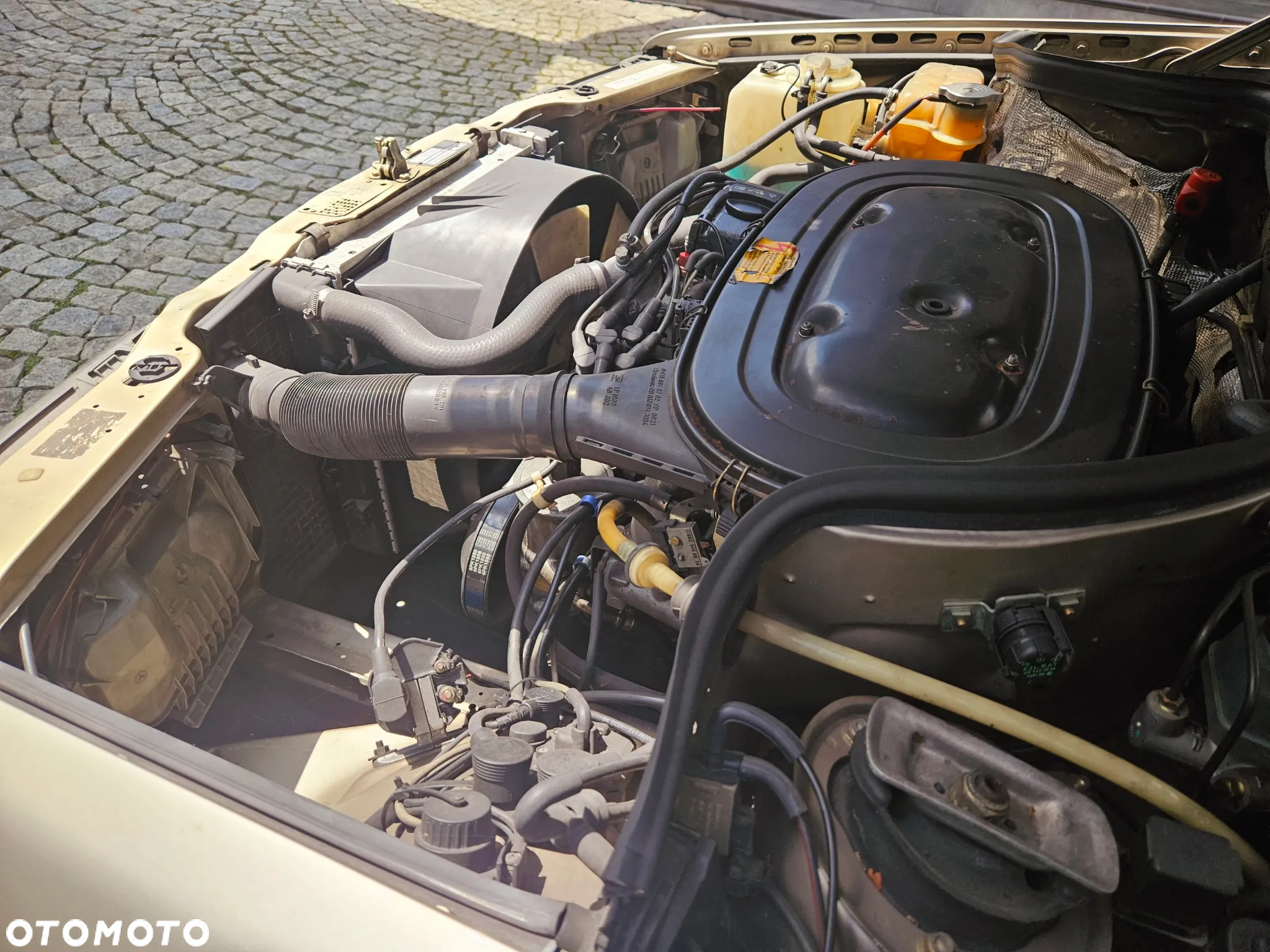 Mercedes-Benz W124 (1984-1993) - 25