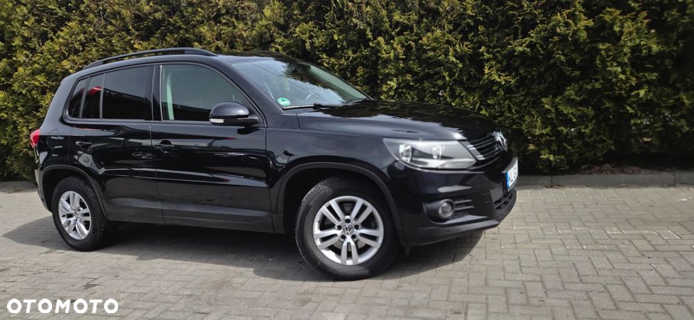 Volkswagen Tiguan - 16