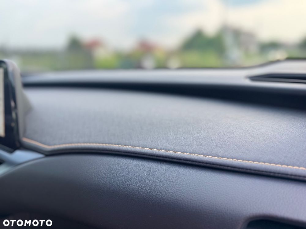 Lexus UX 300h F Sport AWD - 24