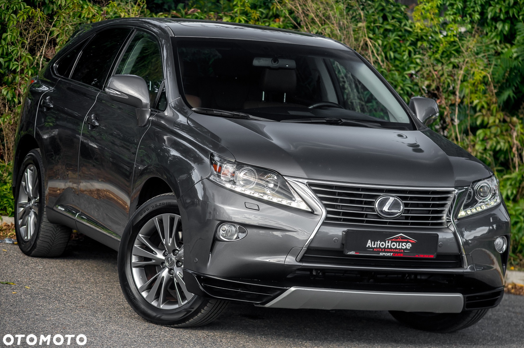 Lexus RX 450h (hybrid) Executive Line - 2