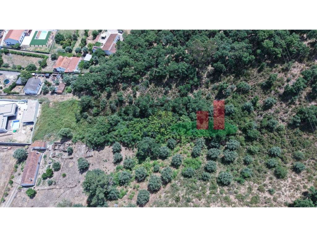 Lote no Pinheiro Grande***RIOMAGIC*** - Grande imagem: 4/23