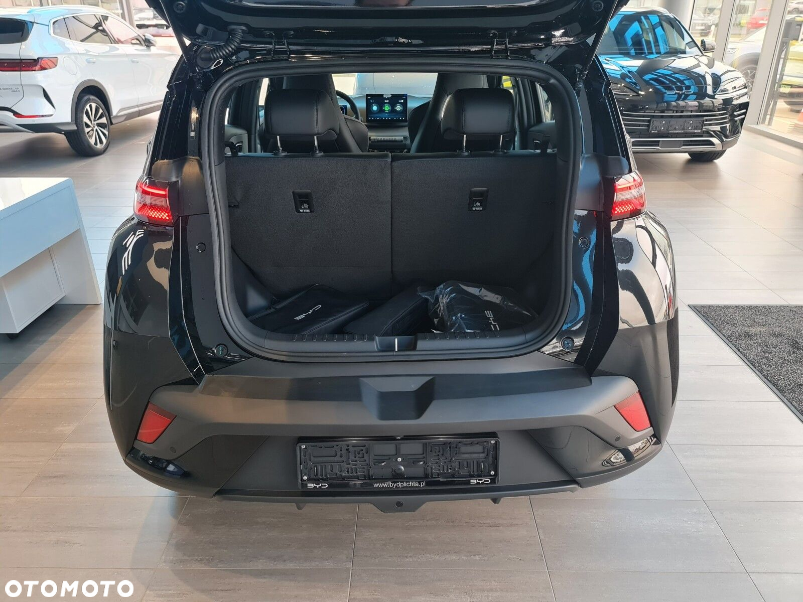 BYD Dolphin Surf - 23
