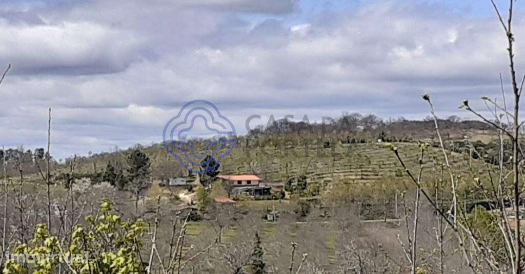 Propriedade em Vinhas distrito de Bragança em plena natureza - Grande imagem: 2/12