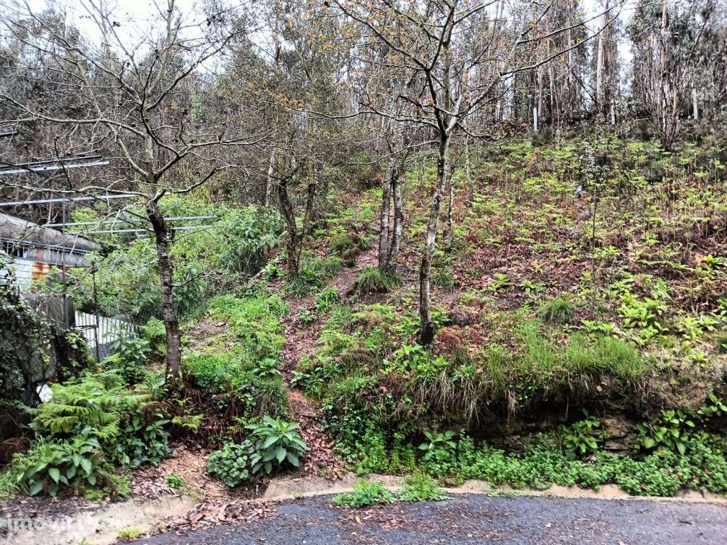 Terreno - Rota dos Moinhos - Angeja - Grande imagem: 3/13