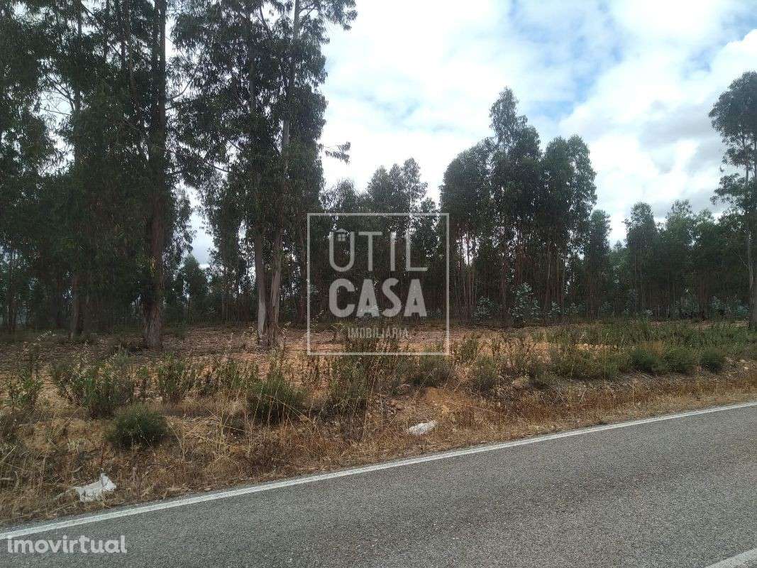 Terreno em Ortiga (Mação) - Grande imagem: 3/5