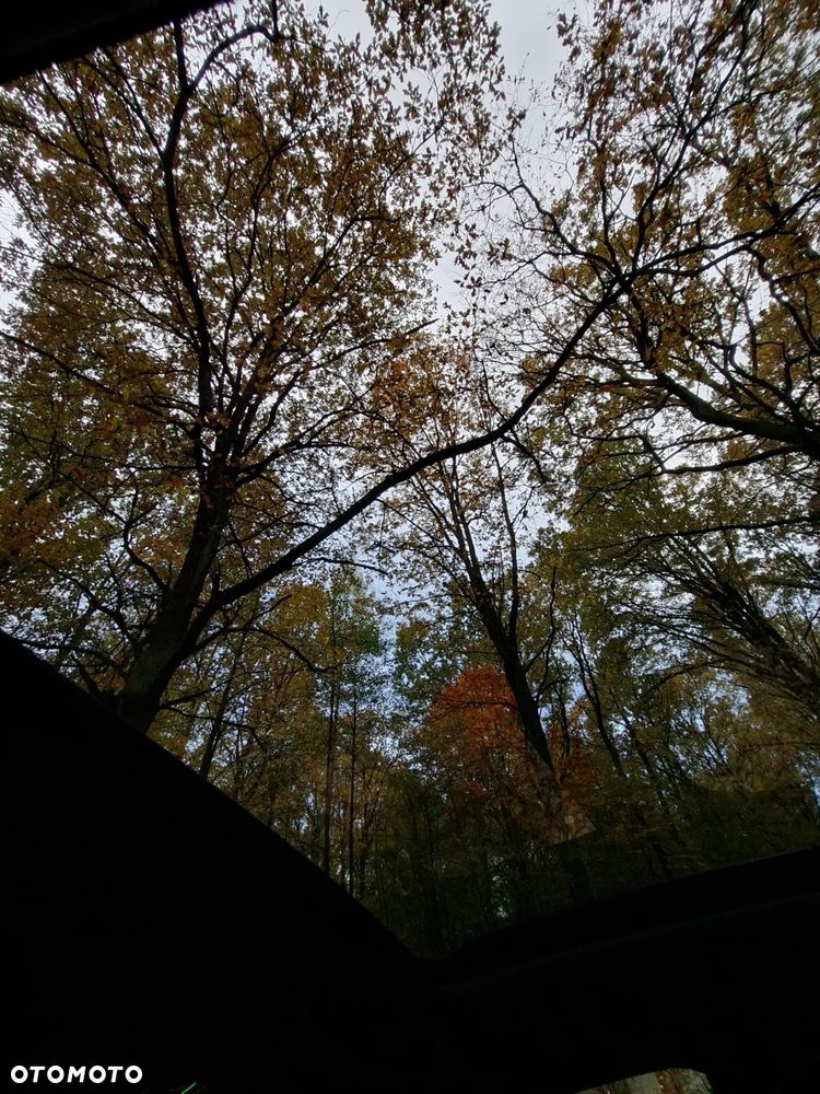 Skoda Kamiq 1.0 TSI Monte Carlo DSG - 12