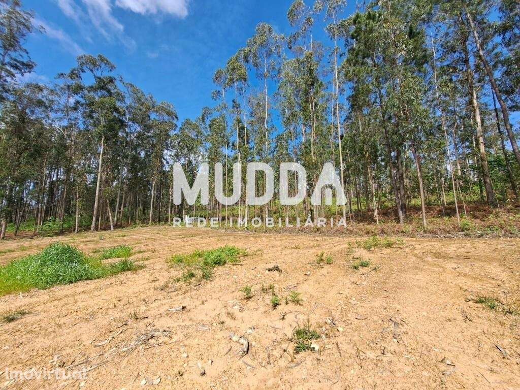 Terreno Rústico com Potencial Agrícola e Turístico – Preço Reduzido - Grande imagem: 2/15