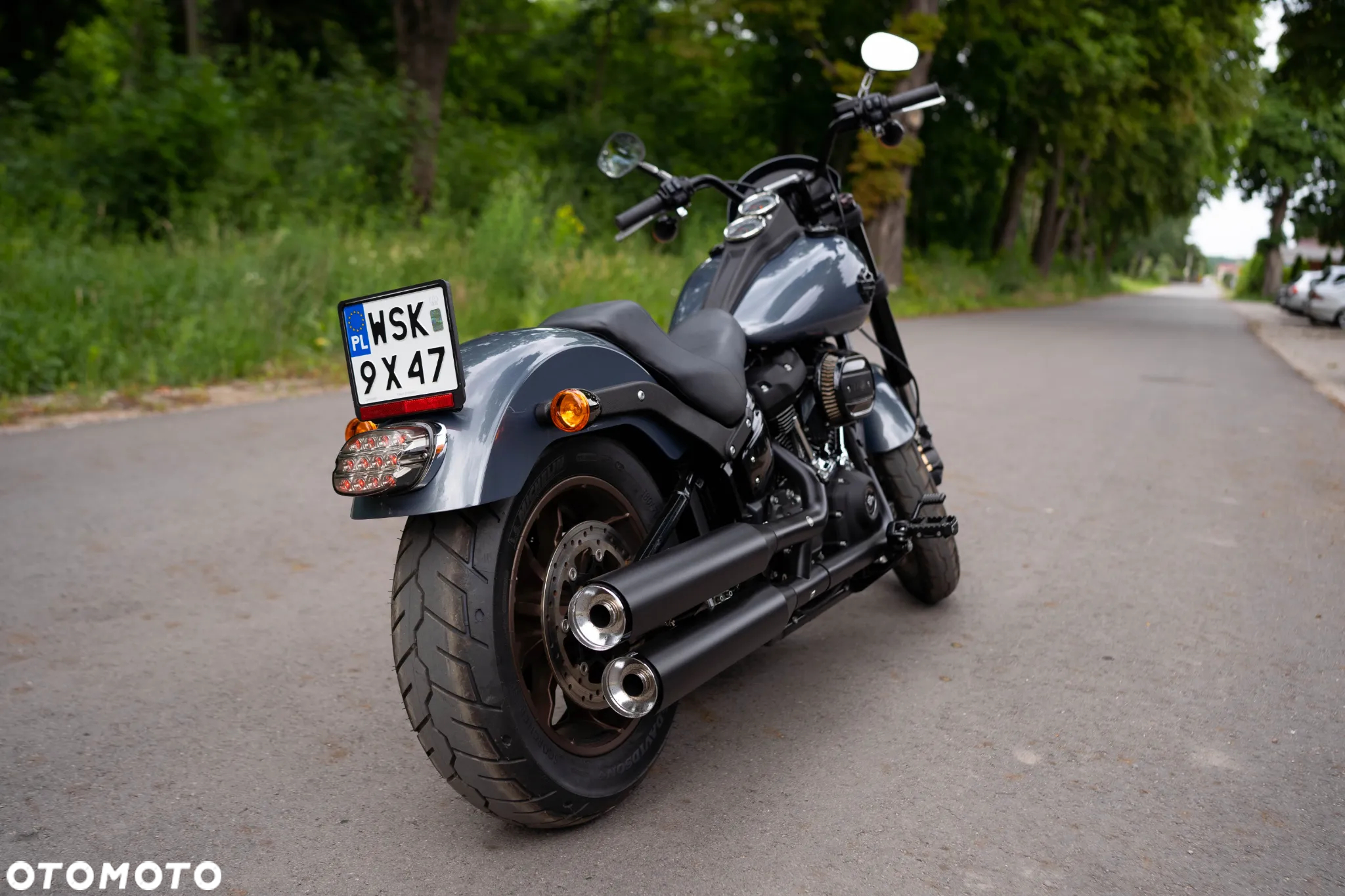 Harley-Davidson Softail Low Rider - 6