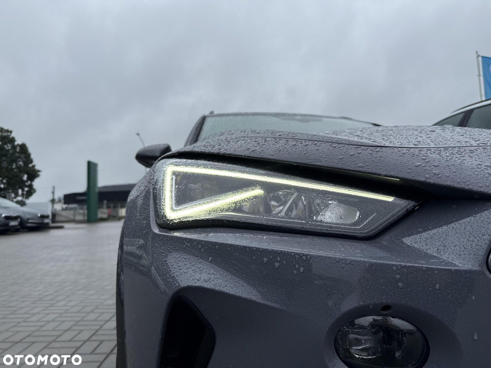 Cupra Formentor - 33