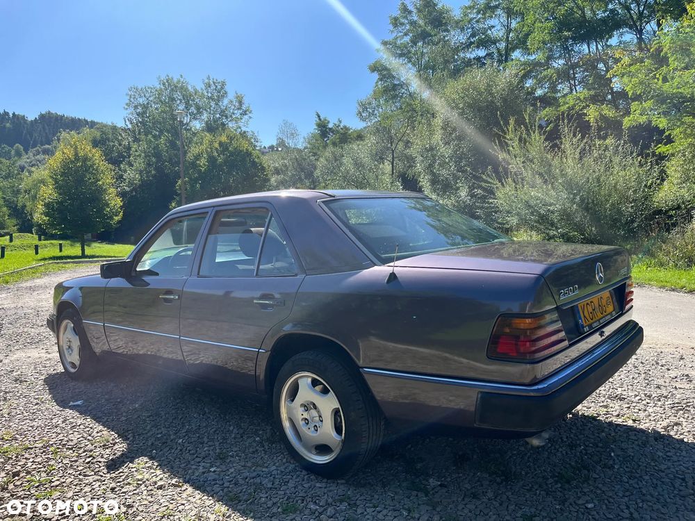 Mercedes-Benz W124 (1984-1993) ver-250-d-turbo - 6
