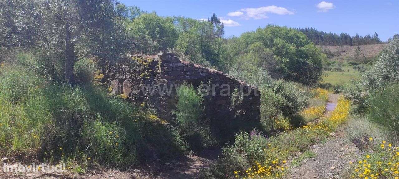 Quinta / Castelo Branco, São Vicente da Beira - Grande imagem: 5/11