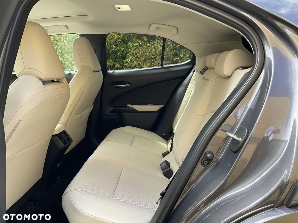 Lexus UX 300h Omotenashi AWD - 16