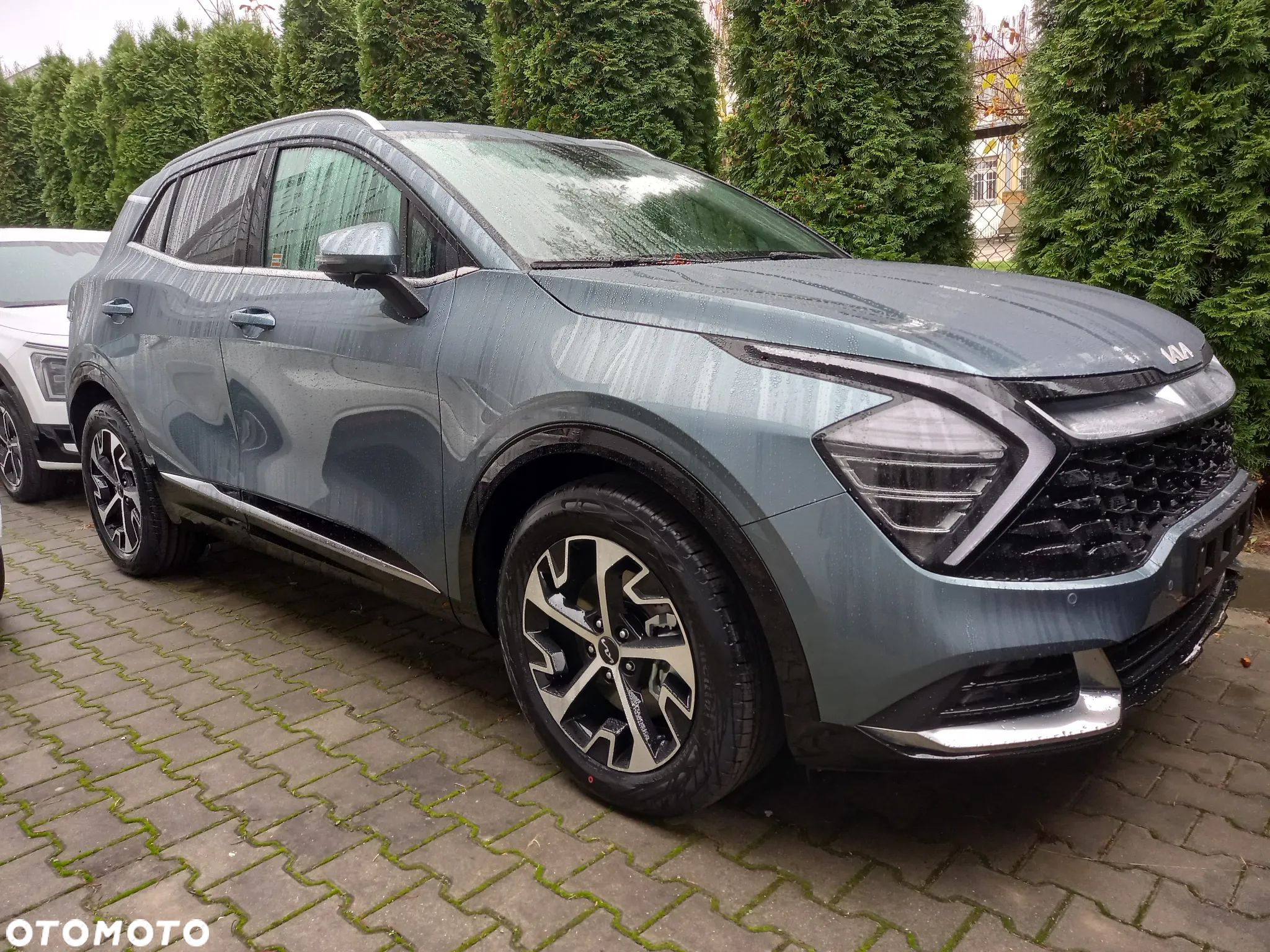 Kia Sportage 1.6 T-GDI HEV Business Line 2WD - 1