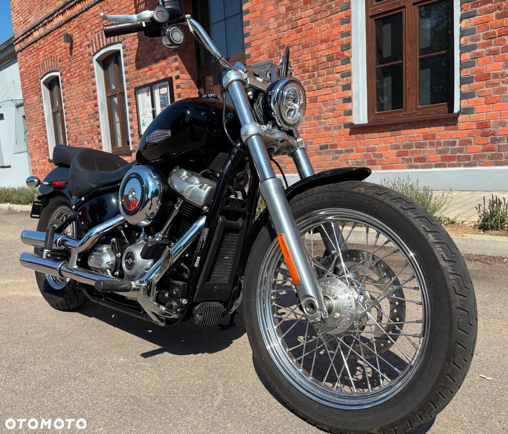 Harley-Davidson Softail Standard - 3