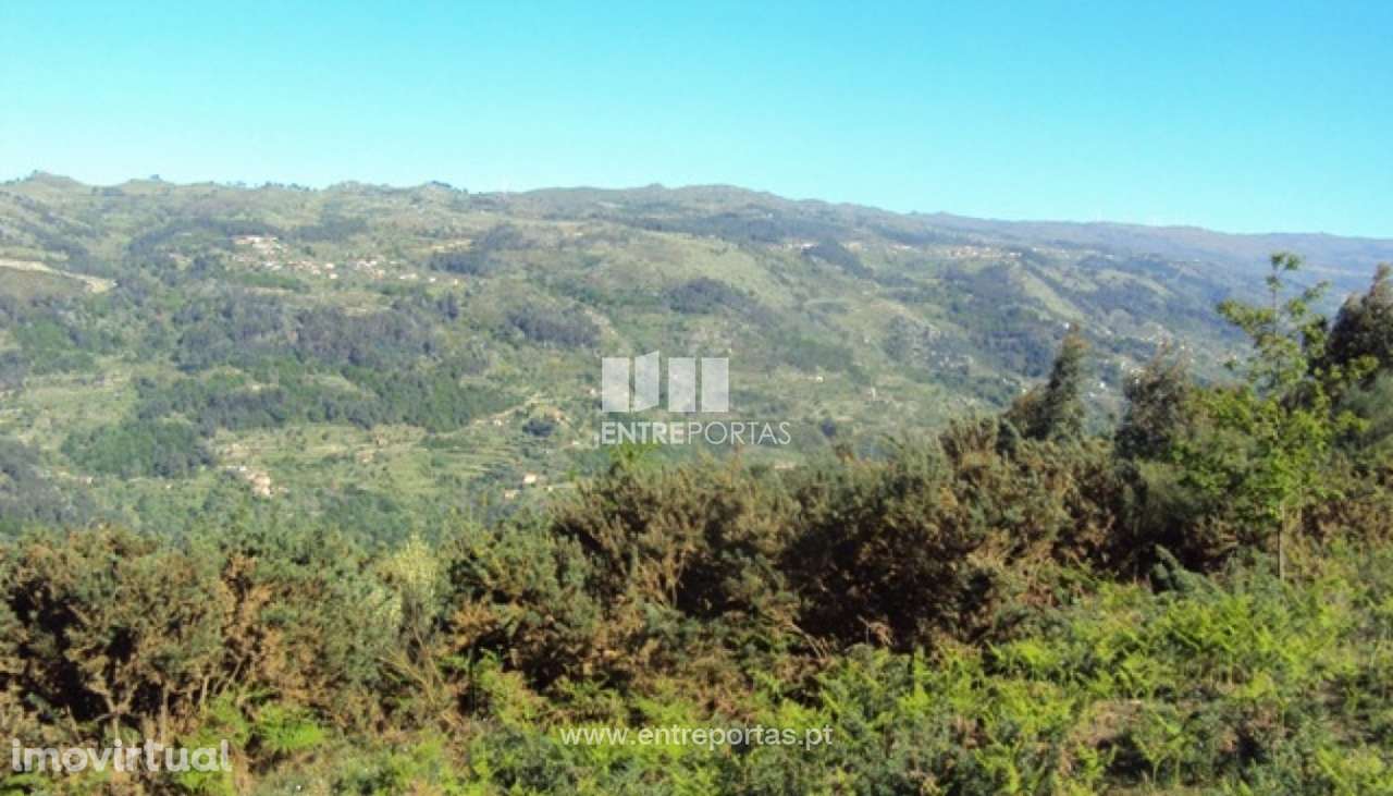 Venda Terreno, Cinfães - Grande imagem: 4/12