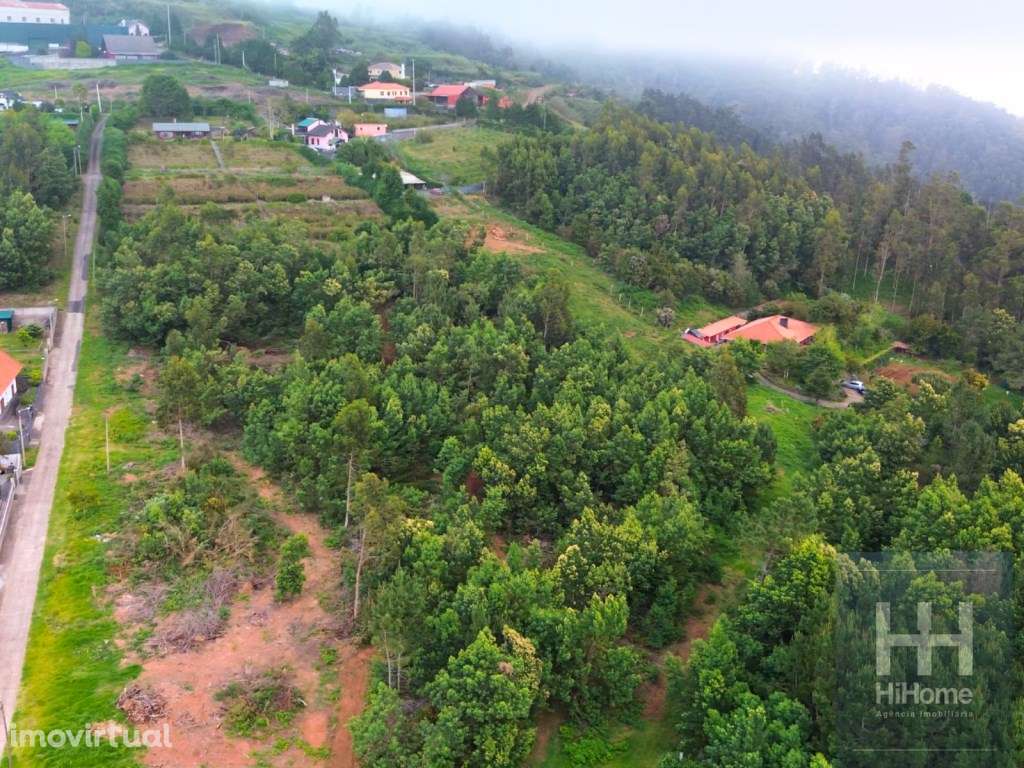 Terreno rústico no Santo da Serra com 13.920 m2 para construção de ... - Grande imagem: 3/24