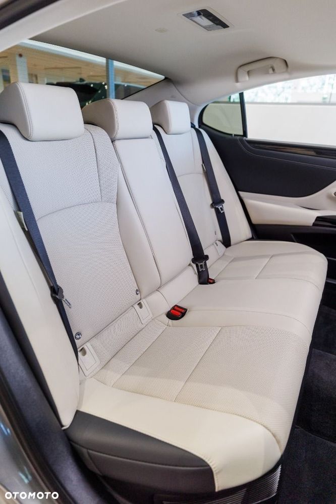Lexus ES 300h F Sport Design - 28