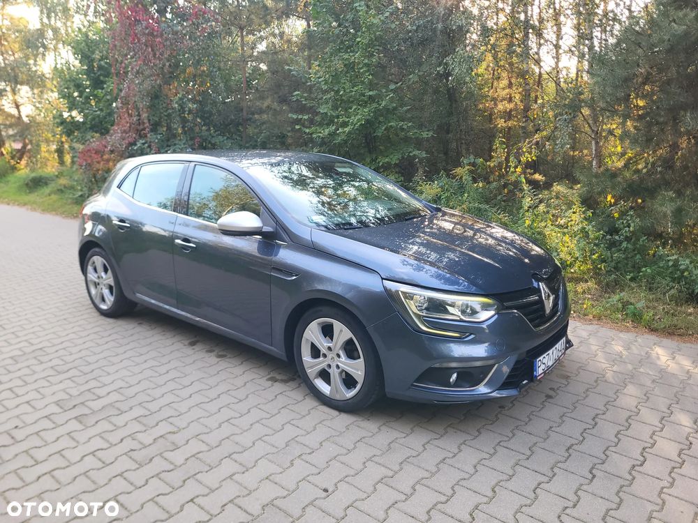 Renault Megane - 1