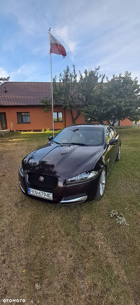 Jaguar XF 2.2 D Premium Luxury - 14