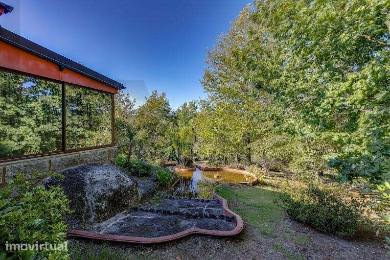 Quinta T5 exclusiva - Monte Córdova, Sto. Tirso | 16.150m2 de privacid - Grande imagem: 5/60