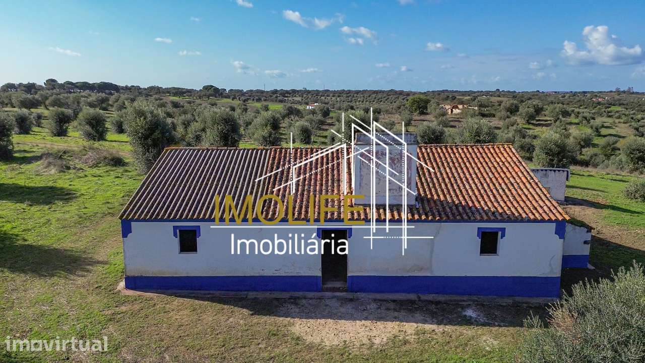 Monte Courela da Boavista - Tesas - Malarranha - Grande imagem: 2/60