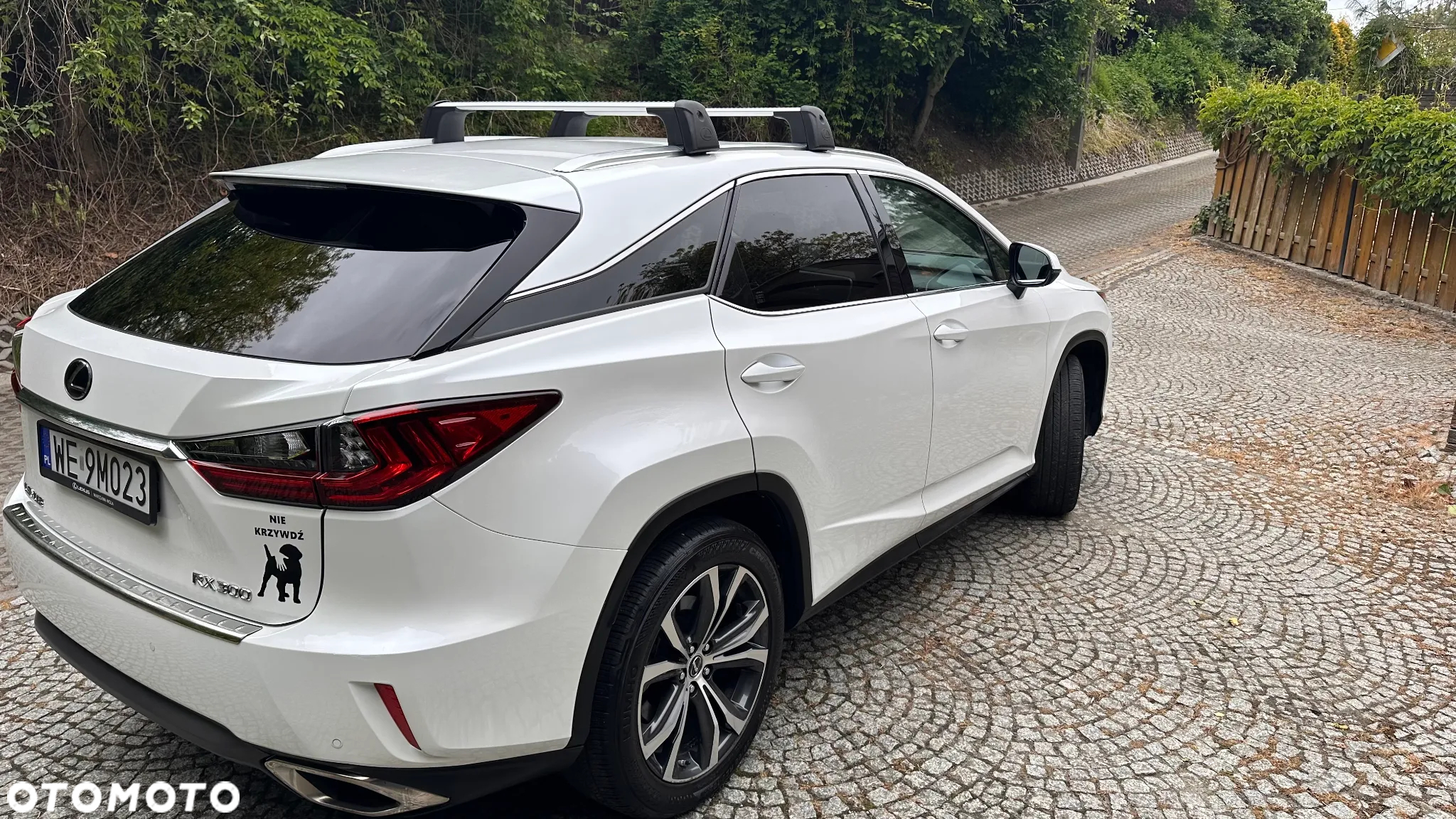 Lexus RX 200t / 300 Elegance MY19 - 4