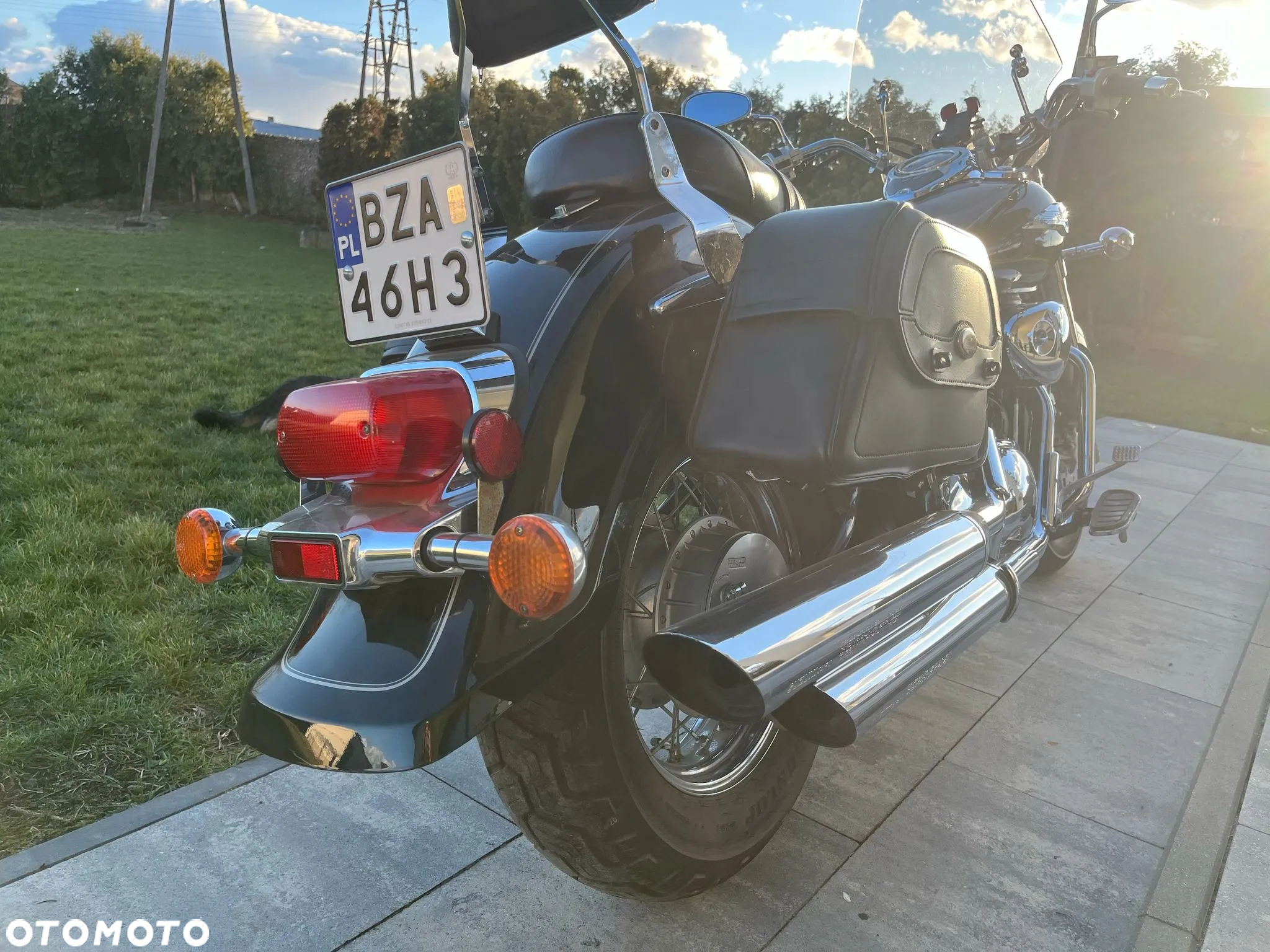 Suzuki VL 800 Volusia - 9
