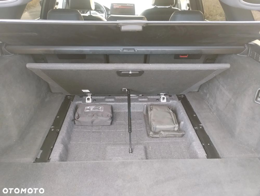 BMW Seria 5 520d MHEV Luxury Line - 30