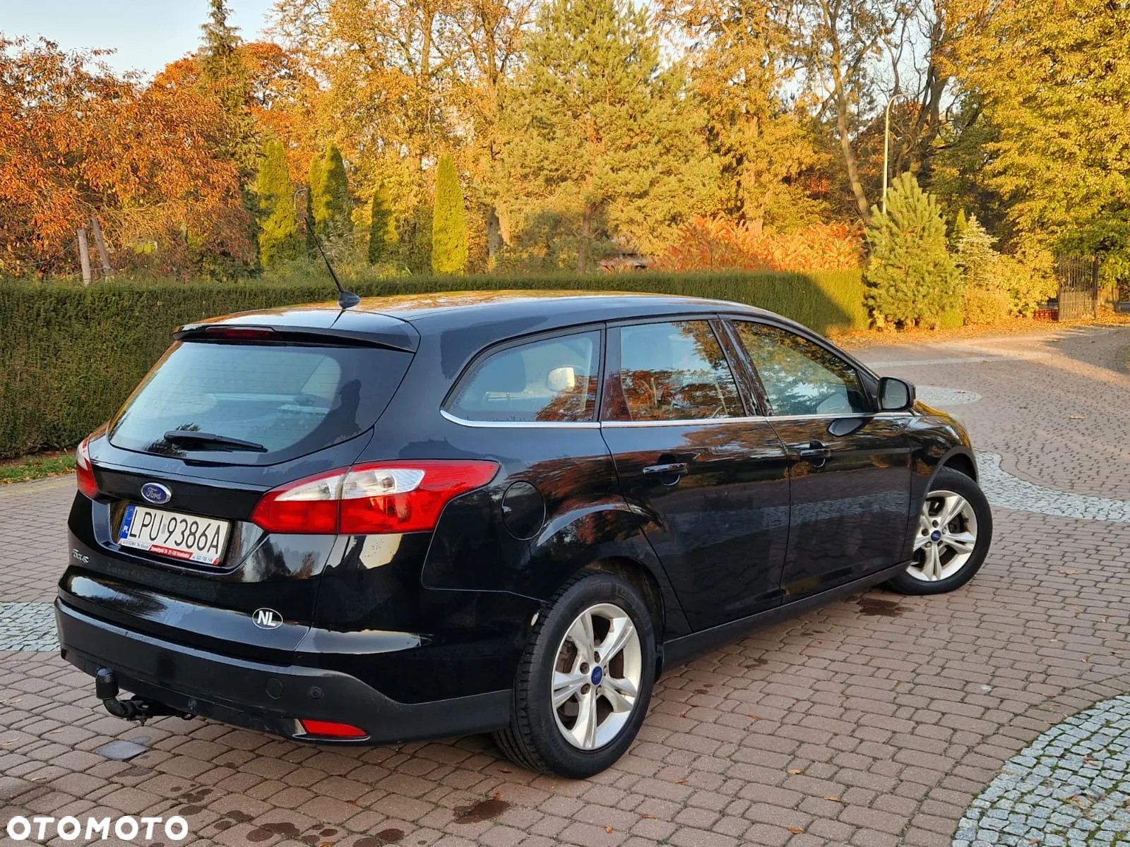 Ford Focus - 16