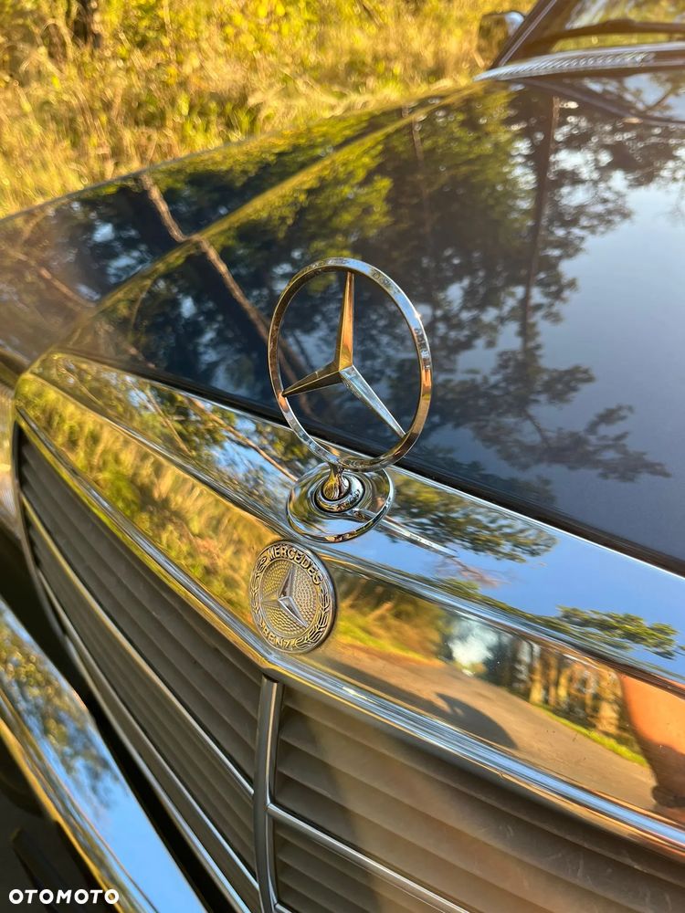 Mercedes-Benz W123 - 7